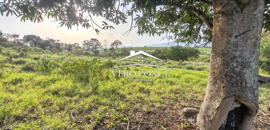 TERRENO – VENTA – ATOYAC – 2501 036