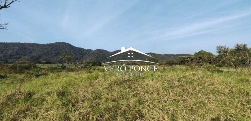 TERRENO – VENTA – ATOYAC – 2501 036