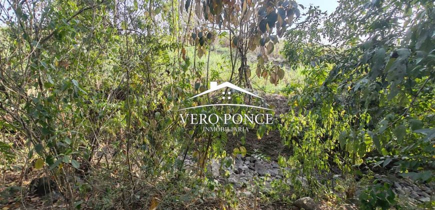 TERRENO – VENTA – ATOYAC – 2501 036