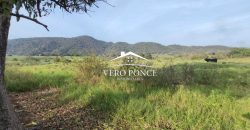 TERRENO – VENTA – ATOYAC – 2501 036