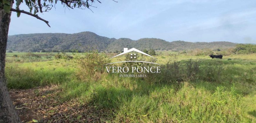 TERRENO – VENTA – ATOYAC – 2501 036