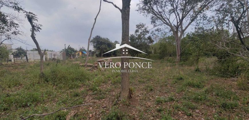VENTA – TERRENO 2O DE NOV – 2501 037