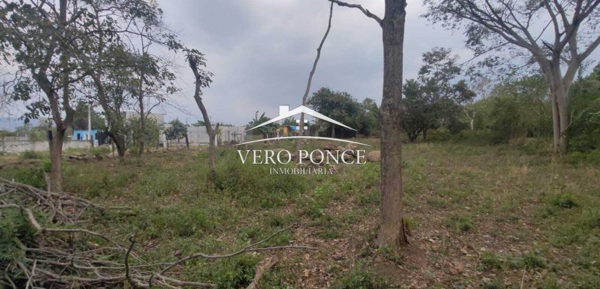 VENTA – TERRENO 2O DE NOV – 2501 037
