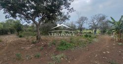 VENTA – TERRENO 2O DE NOV – 2501 037