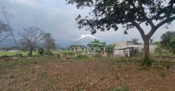 VENTA – TERRENO 2O DE NOV – 2501 037