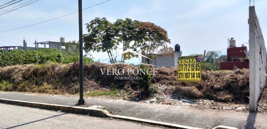 VENTA – TERRENO CARRILES – 2503 047