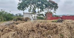 VENTA – TERRENO CARRILES – 2503 047