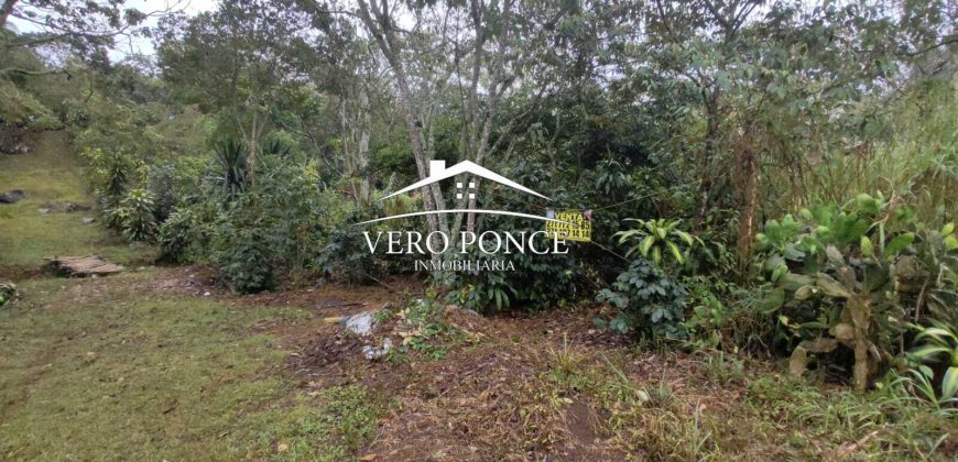 VENTA – TERRENO BARREAL 2510 048