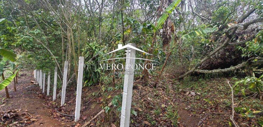 VENTA – TERRENO BARREAL 2510 048