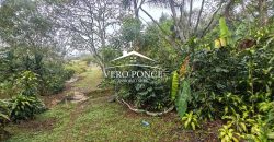 VENTA – TERRENO BARREAL 2510 048