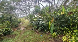 VENTA – TERRENO BARREAL 2510 048 VENTA – TERRENO BARREAL 2510 048