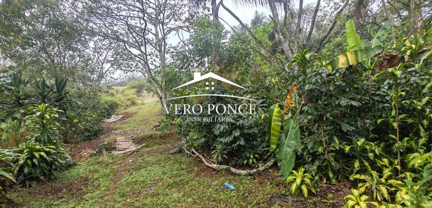 VENTA – TERRENO BARREAL 2510 048