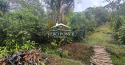 VENTA – TERRENO BARREAL 2510 048