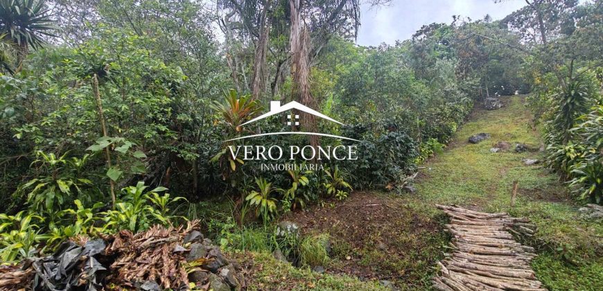 VENTA – TERRENO BARREAL 2510 048