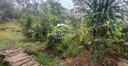 VENTA – TERRENO BARREAL 2510 048