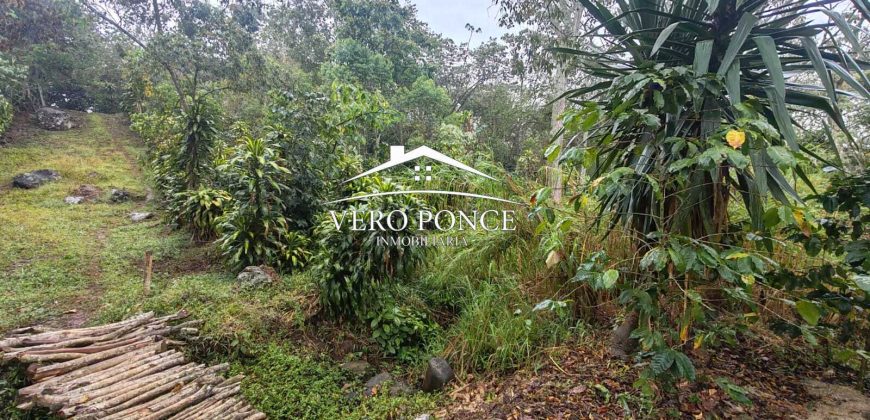 VENTA – TERRENO BARREAL 2510 048