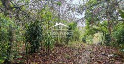 VENTA – TERRENO BARREAL 2510 048