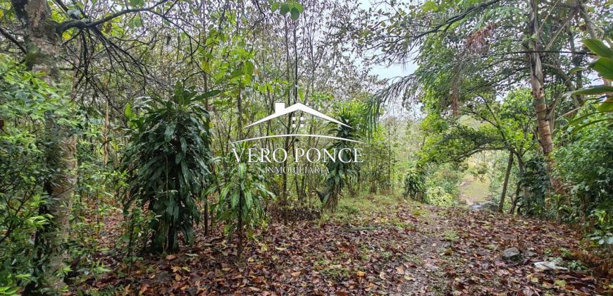 VENTA – TERRENO BARREAL 2510 048