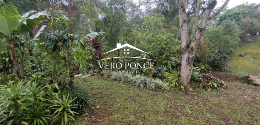 VENTA – TERRENO BARREAL 2510 048