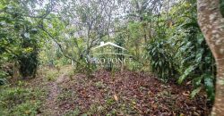 VENTA – TERRENO BARREAL 2510 048