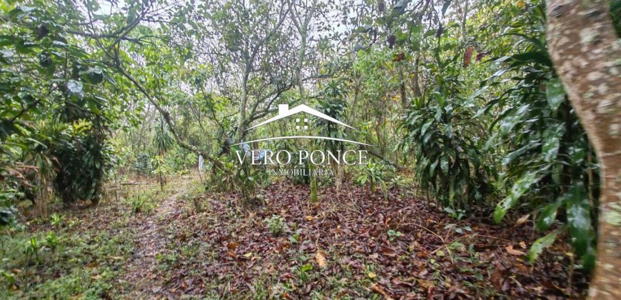 VENTA – TERRENO BARREAL 2510 048