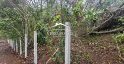 VENTA – TERRENO BARREAL 2510 048