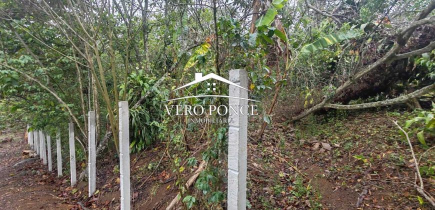 VENTA – TERRENO BARREAL 2510 048