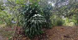 VENTA – TERRENO BARREAL 2510 048