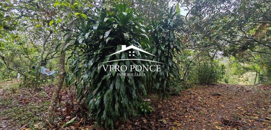 VENTA – TERRENO BARREAL 2510 048