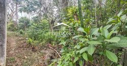 VENTA – TERRENO 20 DE NOV – 2501 076