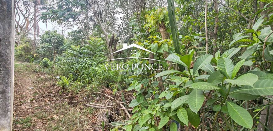 VENTA – TERRENO 20 DE NOV – 2501 076