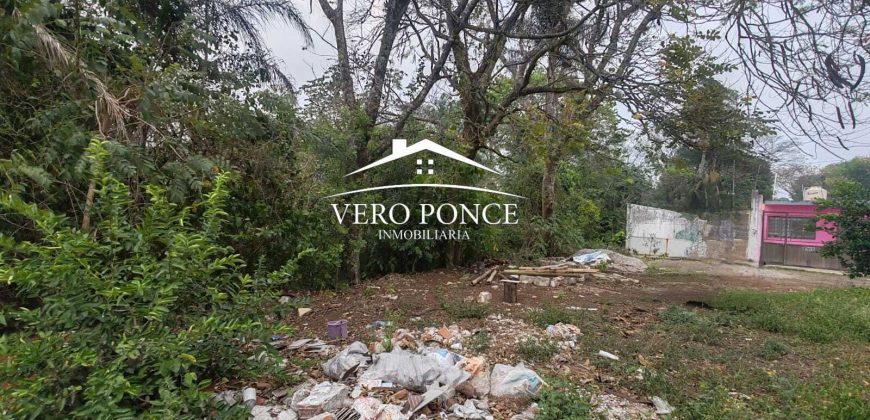VENTA – TERRENO 20 DE NOV – 2501 076