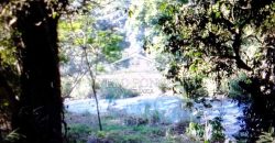 VENTA – TERRENO MATA LARGA – 2510-081