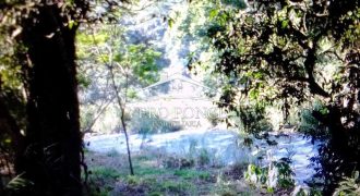 VENTA – TERRENO MATA LARGA – 2510-081 VENTA – TERRENO MATA LARGA – 2510-081