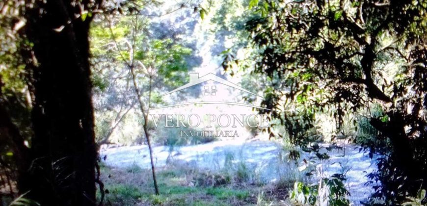 VENTA – TERRENO MATA LARGA – 2510-081