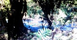 VENTA – TERRENO MATA LARGA – 2510-081