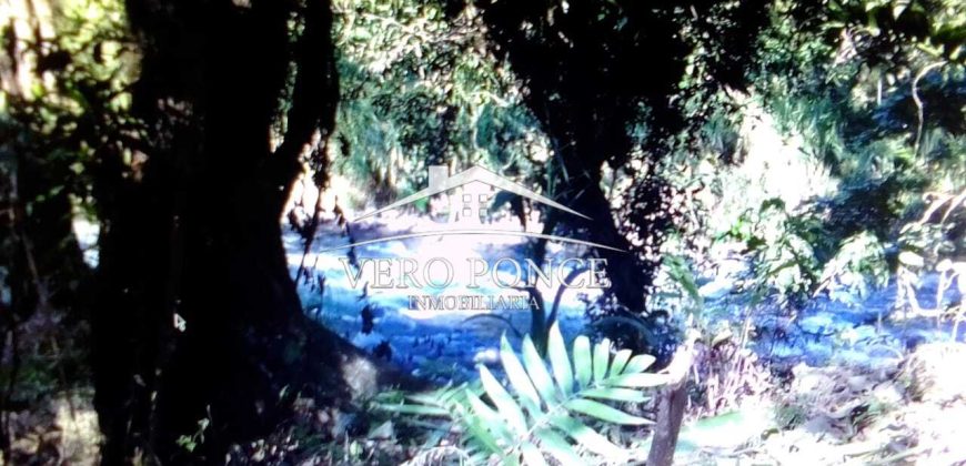 VENTA – TERRENO MATA LARGA – 2510-081
