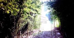 VENTA – TERRENO MATA LARGA – 2510-081