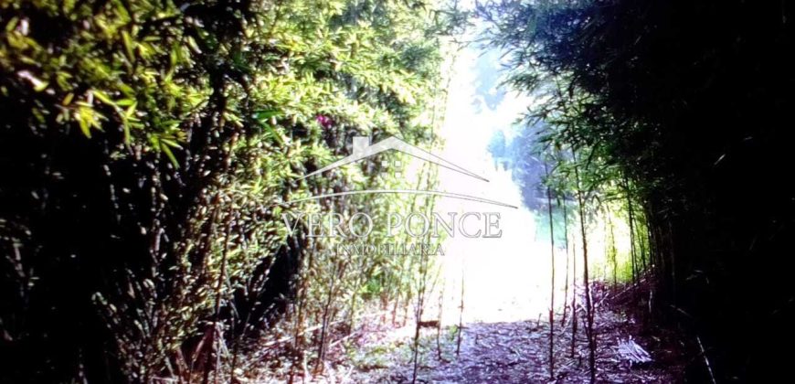 VENTA – TERRENO MATA LARGA – 2510-081