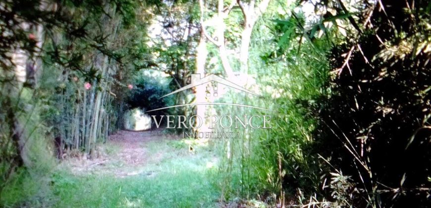 VENTA – TERRENO MATA LARGA – 2510-081