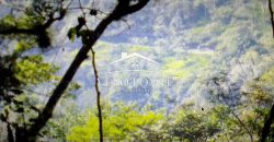 VENTA – TERRENO MATA LARGA – 2510-081