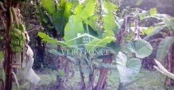 VENTA – TERRENO MATA LARGA – 2510-081