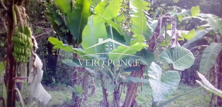 VENTA – TERRENO MATA LARGA – 2510-081