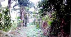 VENTA – TERRENO MATA LARGA – 2510-081