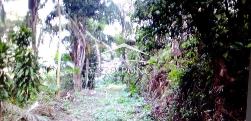 VENTA – TERRENO MATA LARGA – 2510-081