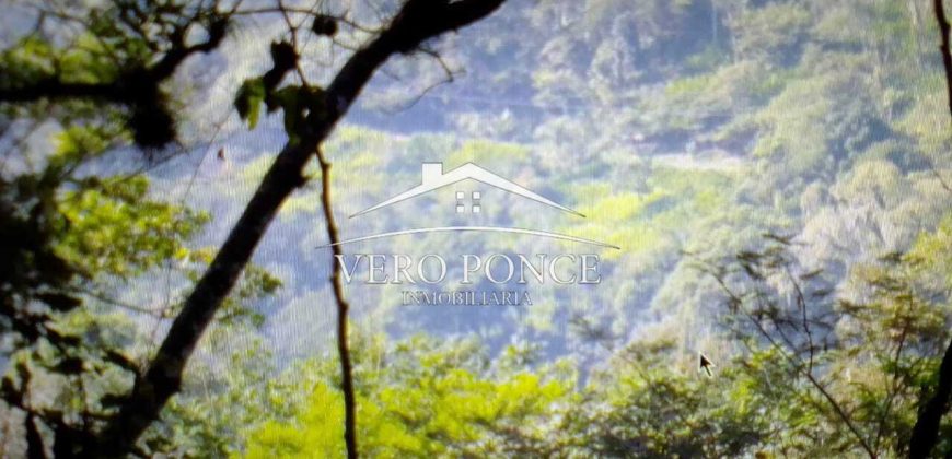 VENTA – TERRENO MATA LARGA – 2510-081