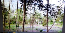 VENTA – TERRENO MATA LARGA – 2510-081