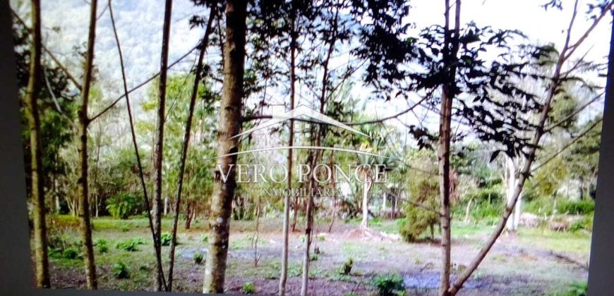 VENTA – TERRENO MATA LARGA – 2510-081