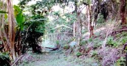 VENTA – TERRENO MATA LARGA – 2510-081