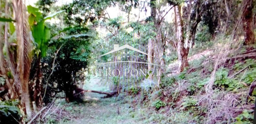 VENTA – TERRENO MATA LARGA – 2510-081
